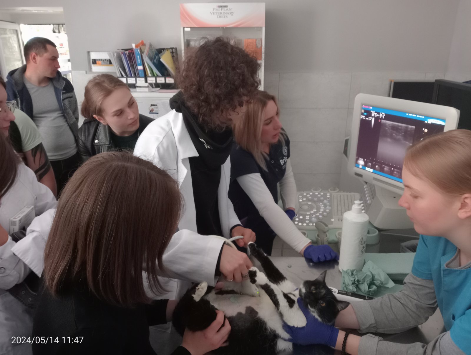Майстер-клас із УЗД дрібних тварин в клініці “Vet Service Dubno” - МТЕФК